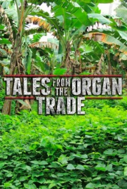 Tales from the Organ Trade Film Review Tiny Mix Tapes