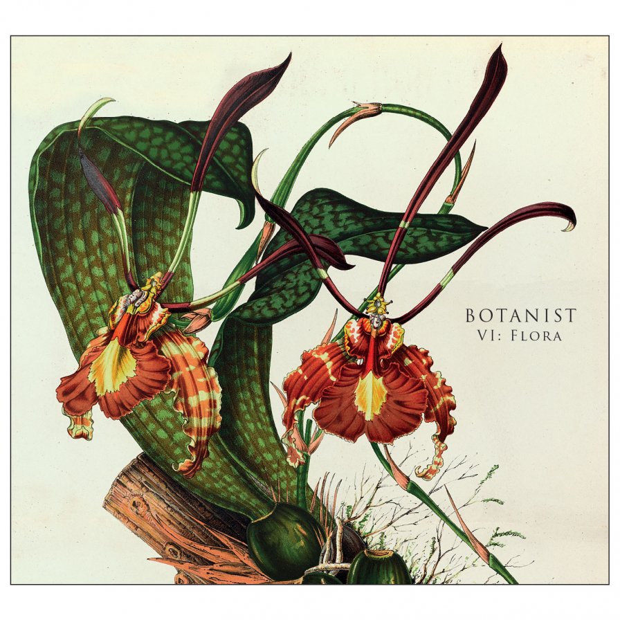 Botanist announce new LP on The Flenser, out August 11, stream "Callistemon" as a taste of their green-thumbed labor