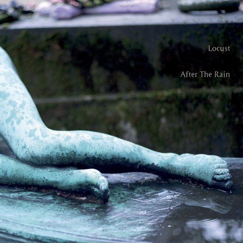 Mark Van Hoen announces After the Rain, his new album as Locust, shares first single