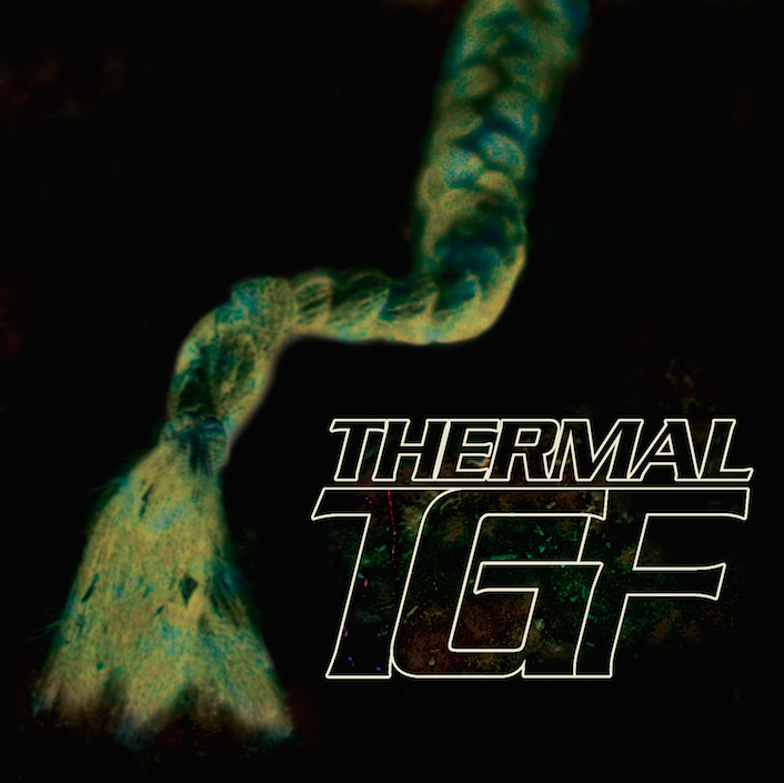 Teengirl Fantasy announce new EP (and Snuggie alternative) Thermal, stream a track