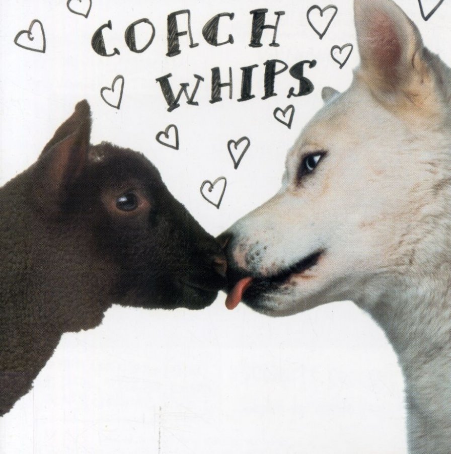 Coachwhips reissue classic Bangers vs. Fuckers album, releasing madness upon the land