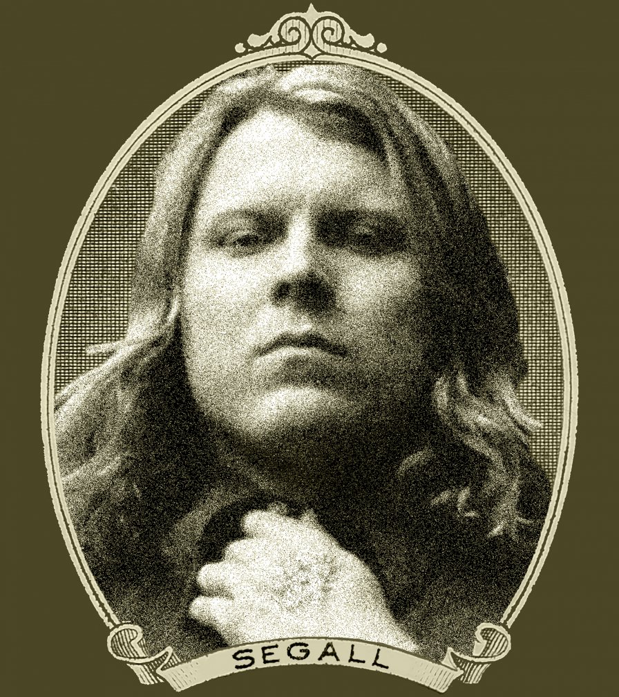 Ty Segall announces acoustic tour, throws shade toward former friend electricity