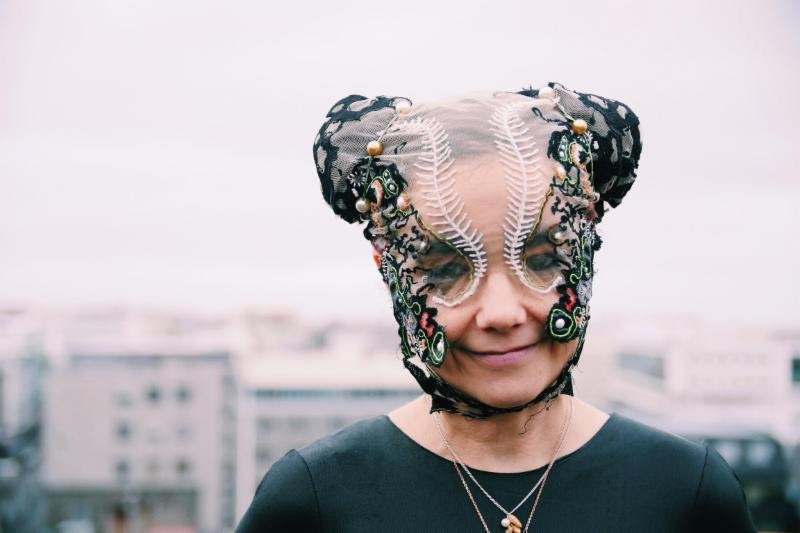 Björk calls on world to protect Icelandic wilderness
