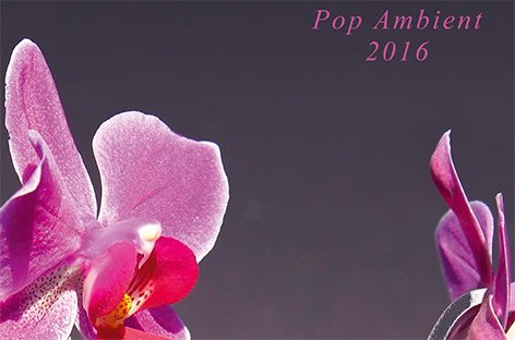 Kompakt's Pop Ambient 2016 out next week, streaming via NPR