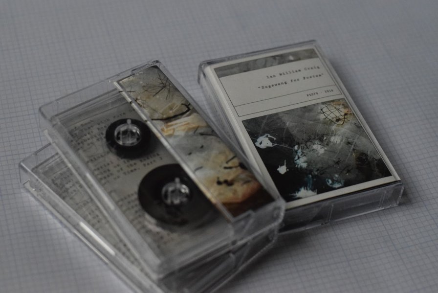 Ian William Craig releases Zugzwang for Fostex, indefinitely mourns