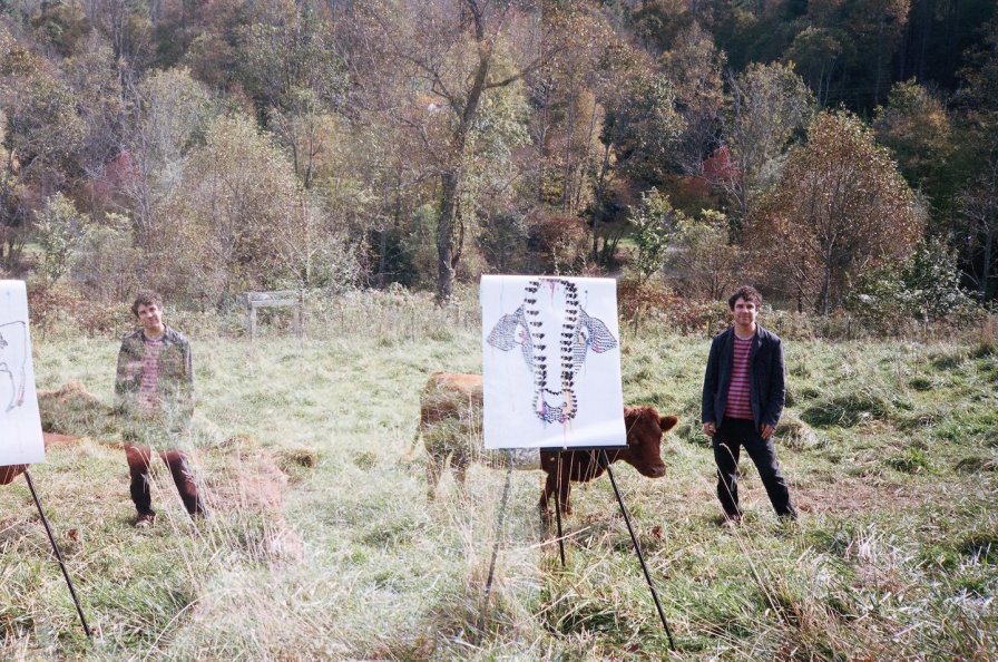 Avey Tare calmly announces new album Cows On Hourglass Pond, quietly shares video, doesn't shriek or anything