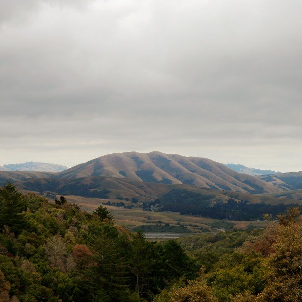 Dirty Projectors to sidestep original cause and release Mount Wittenberg Orca on vinyl