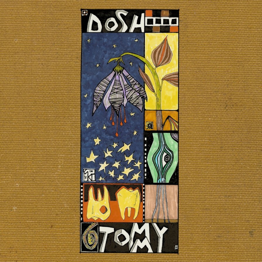 Dosh Returns with Fifth Album, Tommy, in April