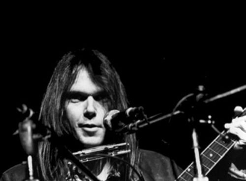 Neil Young goes French and makes plans to release Le Noise in September